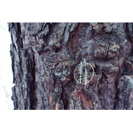 Brož Intimity Tree