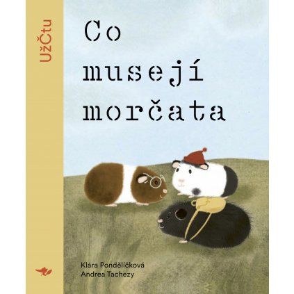 co museji morcata obalka