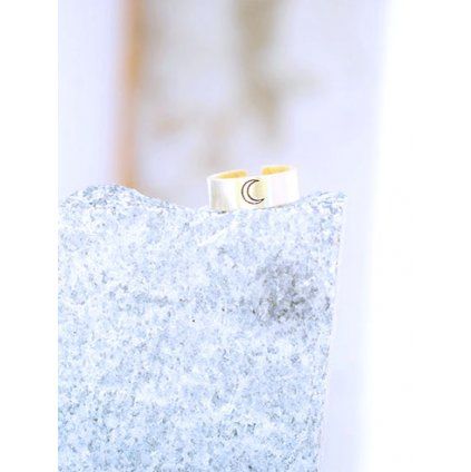 moon ring 2