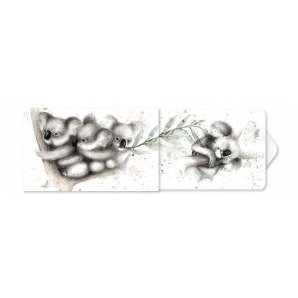 549 koaly 3d kopie