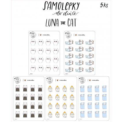 Luna the cat