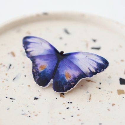 KoB308 motyl