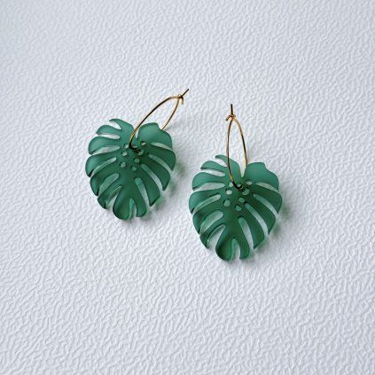monstera na kroužku