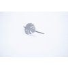 Brož Intimity Monstera