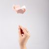 magnolie pudrova