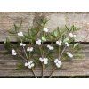 260799372 433806864986727 1301785381557620745 n