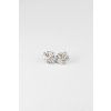 LAES40 4