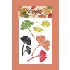74 Ginkgo produkt 768x1152