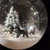 P2
