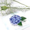 a9b517 eb8fe486243d44c5877de94d45bbef19~mv2